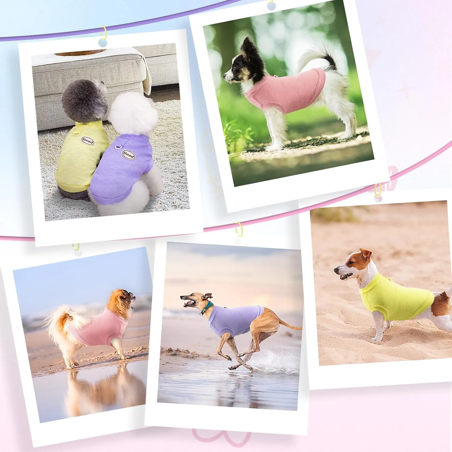 3Packs Dog Cotton T-Shirt Dog Summer Short Sleeves Puppy Shirts Breathable Pet Vest Clothes with D-Ring for Small Medium Large Dogs Cats Kittens (Yellow Purple Pink) XL