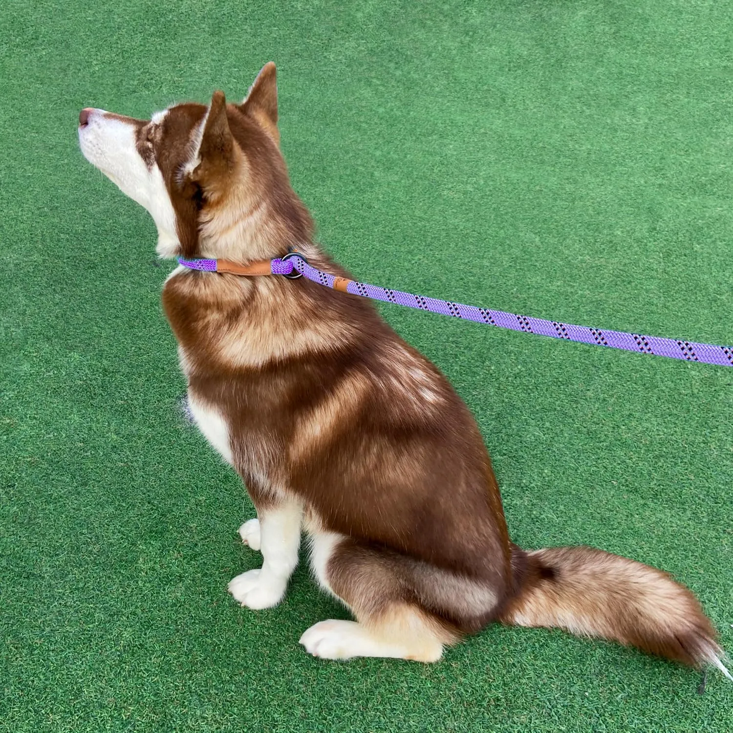 5 FT Slip Lead Dog Leash, Heavy Duty Rope Leash for Small Medium Large Dogs, No Pull Training Lead with Reflective Thread, Strong Comfortable Loop Leash (Lavender Stripe, Large(1/2"))