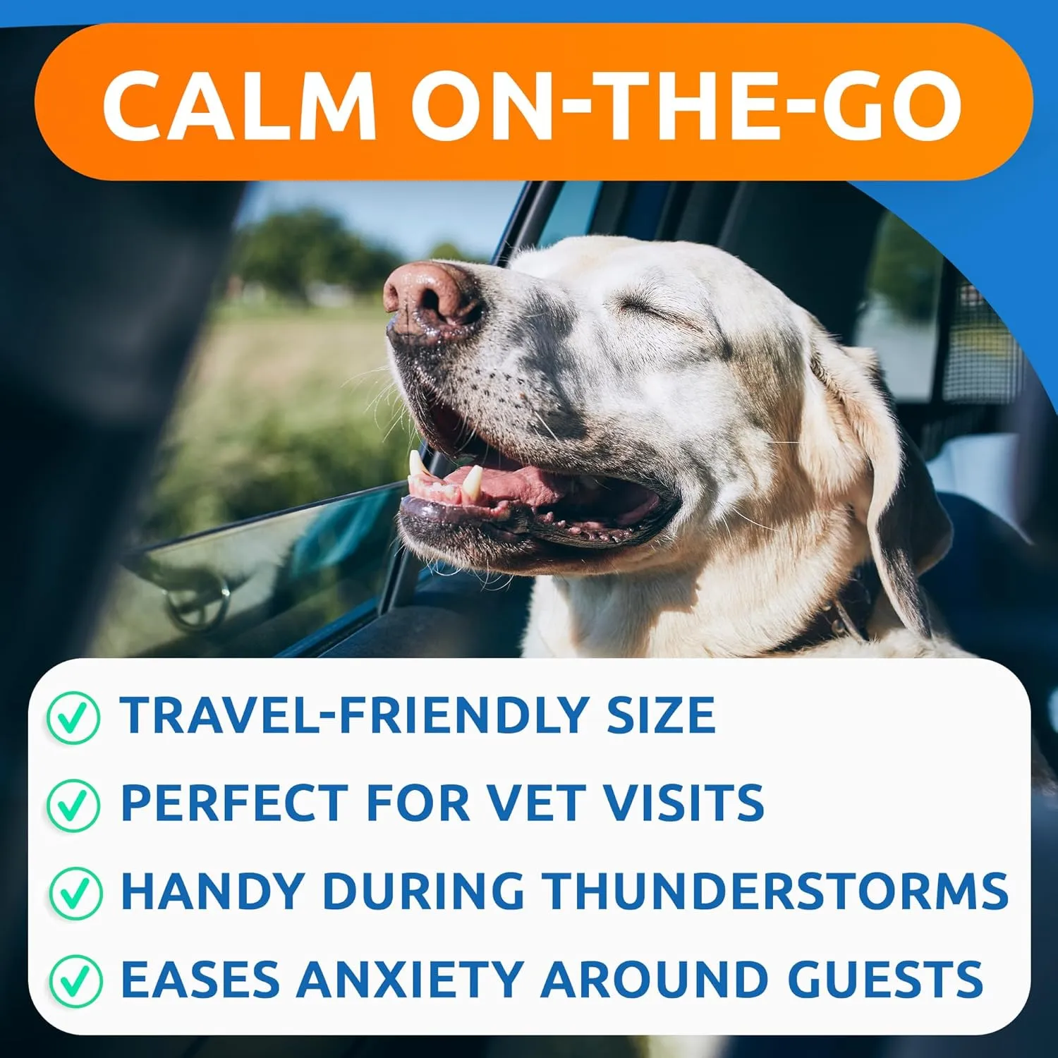BARK&SPARK Advanced Calming Hemp Treats for Dogs - Hemp Oil   Melatonin - Anxiety Relief - Separation Aid - Stress Relief During Fireworks, Storms - Aggressive Behavior, Barking - 60Chews