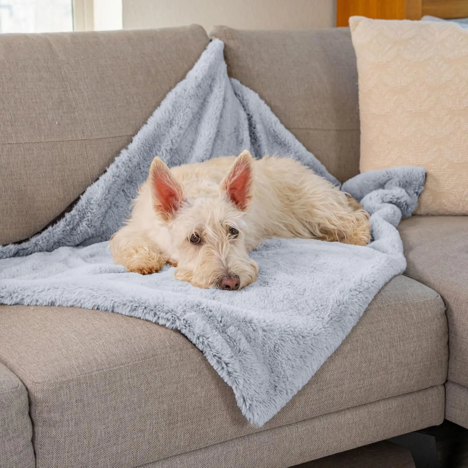 Best Friends by Sheri Reversible SnuggleSoft Calming Dog Blanket  Ultra Soft Faux Fur Pet Throw, Anxiety-Relief, Lightweight Warm Bed Cover for Dogs and Cats, Machine Washable, Gray, 30" x 40"