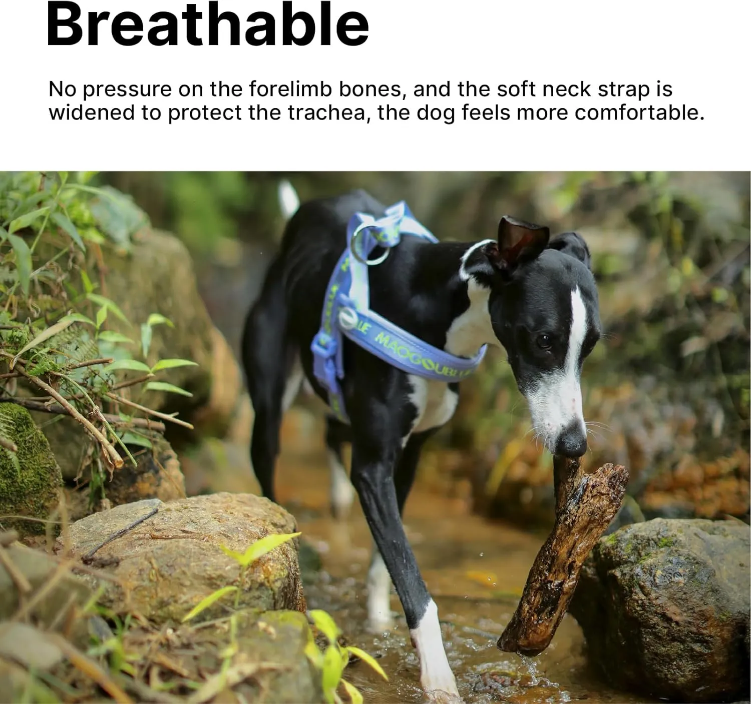 Escape-Proof Dog Harness with No-Choke Comfortable Lycra Fabric Vest and Quick-Release Buckle Easy Control Handle for Large Dogs, Easy for Training Walking (Purple, L)