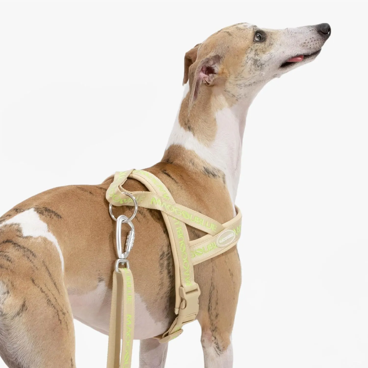 Escape-Proof Dog Harness with No-Choke Comfortable Lycra Fabric Vest and Quick-Release Buckle Easy Control Handle for Large Dogs, Easy for Training Walking (Purple, L)