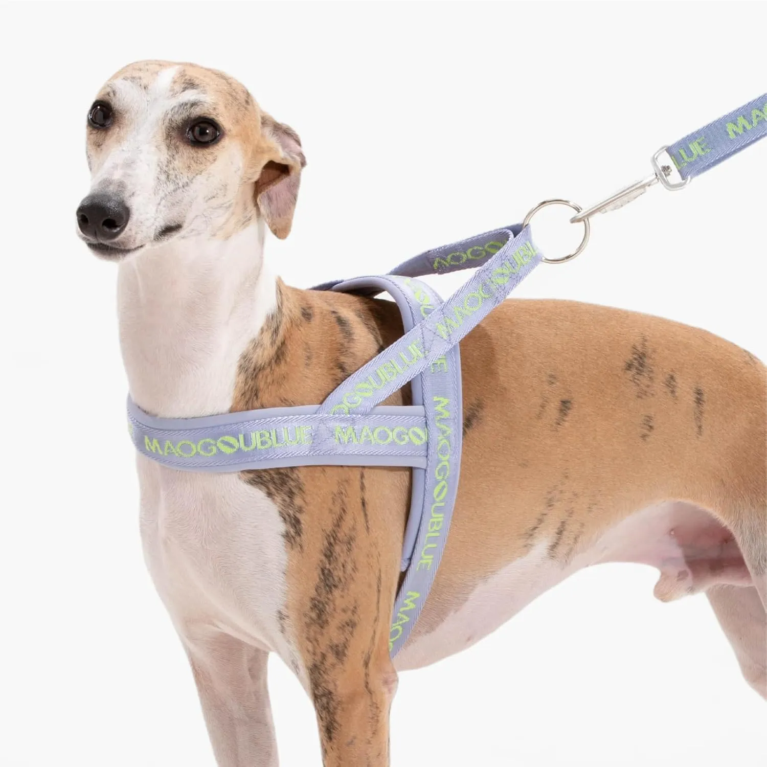 Escape-Proof Dog Harness with No-Choke Comfortable Lycra Fabric Vest and Quick-Release Buckle Easy Control Handle for Large Dogs, Easy for Training Walking (Purple, L)