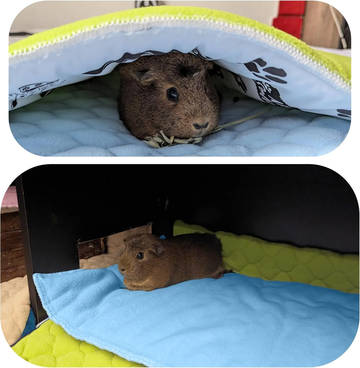 Fleece Playground for Guinea Pig and Rabbit - All in One, It's a Blanket, a Giant Tunnel, a House, a Cushion and a Bed - 23.6 x 19.7 in - Green