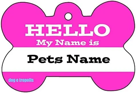 Hello My Name is Custom Art Dog Pet Cat ID Identification Tag Bone Shape Image Photo Personalized with Key Ring (Pink)
