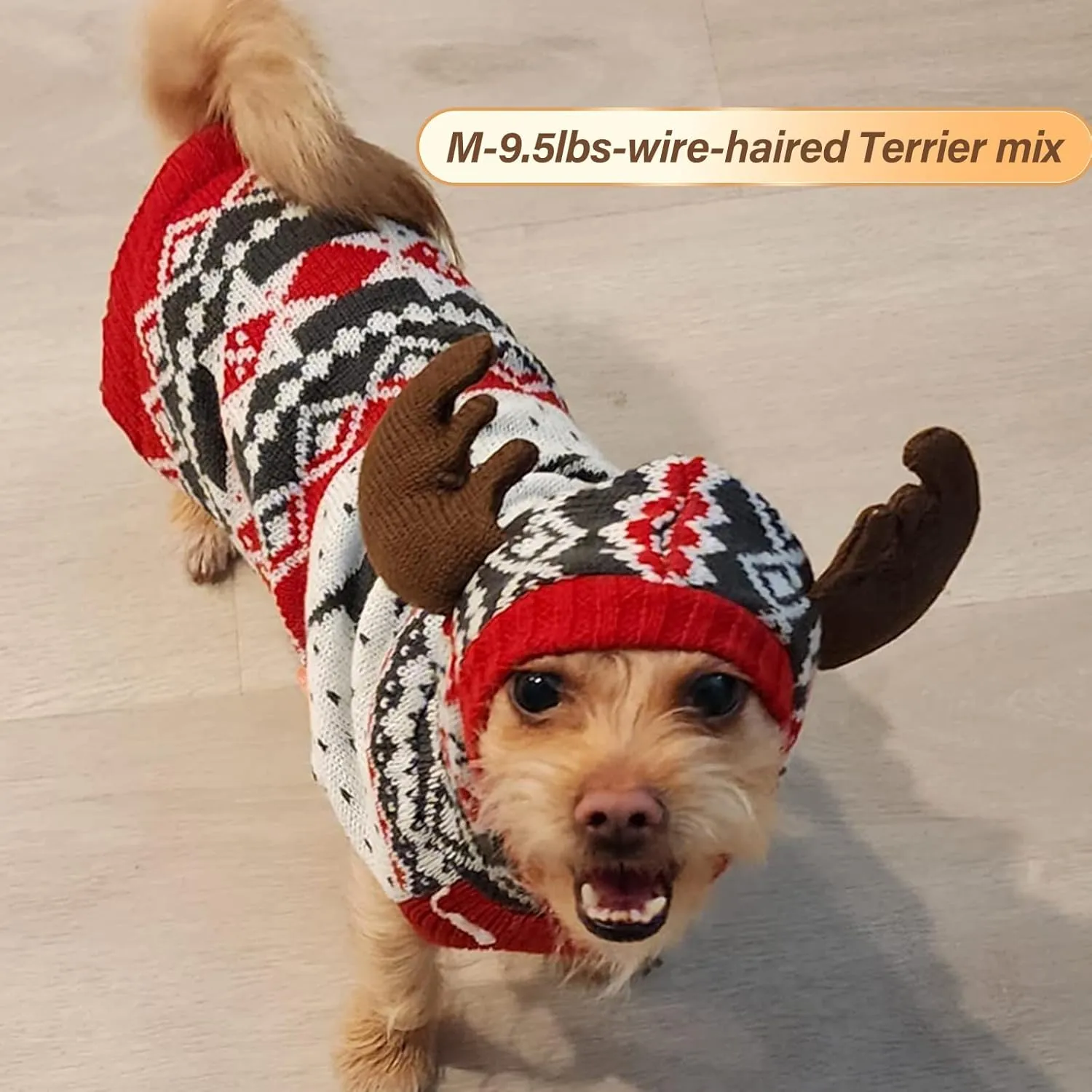 KYEESE Dog Christmas Sweater Hoodie Dog Christmas Outfit with Leash Hole Reindeer Snowflake Red Dogs Knitwear Small Pullover Pet Sweater Christmas, M