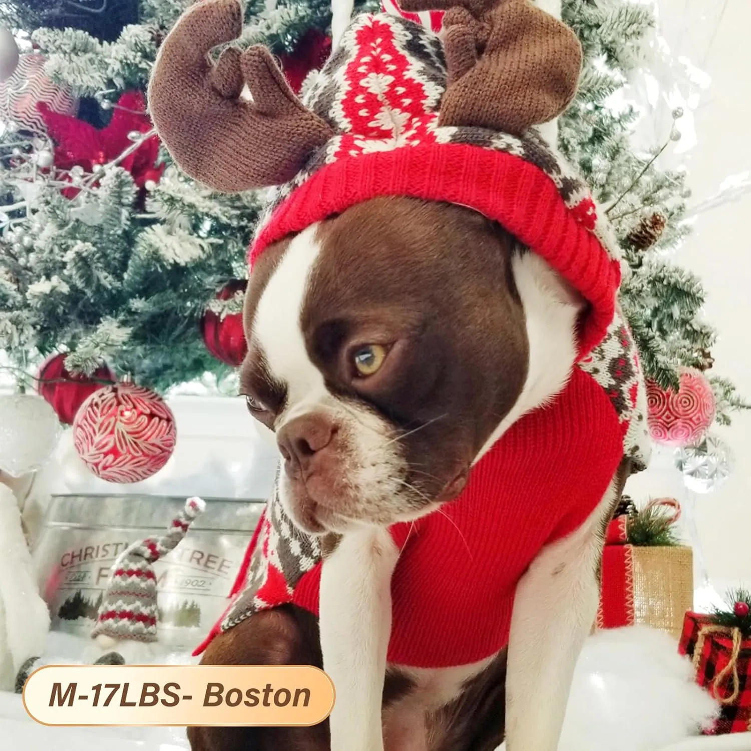 KYEESE Dog Christmas Sweater Hoodie Dog Christmas Outfit with Leash Hole Reindeer Snowflake Red Dogs Knitwear Small Pullover Pet Sweater Christmas, M