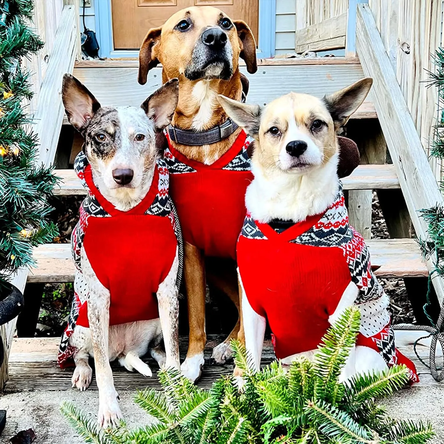 KYEESE Dog Christmas Sweater Red Sweater Hoodie Dog Christmas Outfit with Leash Hole for Medium Dogs Reindeer Snowflake Red Dogs Knitwear Pullover Pet Sweater, 2XL