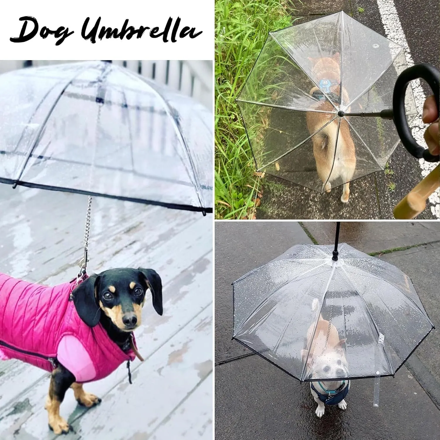 LESYPET Dog Umbrella with Leash, Clear Umbrella for Dog with Leash for Small Pets, Metal Leash