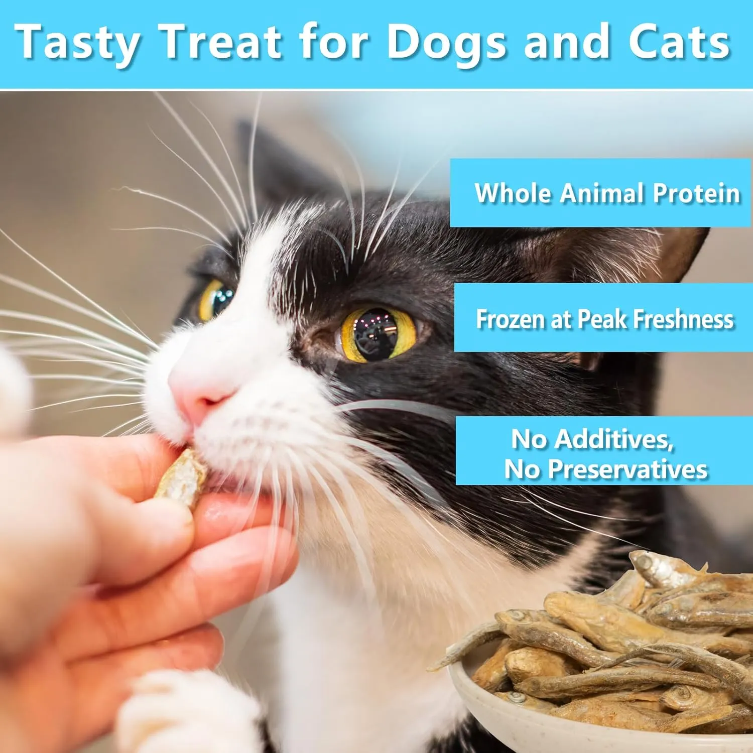 Minnows - 4 oz Freeze Dried - 100% Natural Premium Cat Treat, Dog Treat - Freeze Dried Minnows for Cats - Freeze Dried Minnows for Dogs (4 OZ)