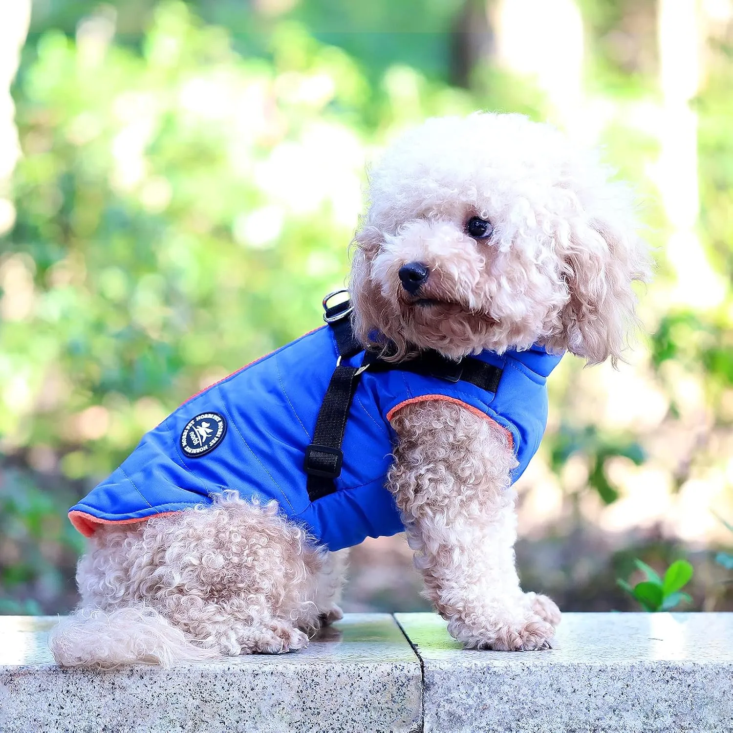 Norbi Dog Winter Jacket with Built-in Harness - Adjustable Warm Coats for Small to Large Dogs - Perfect for Cold Weather
