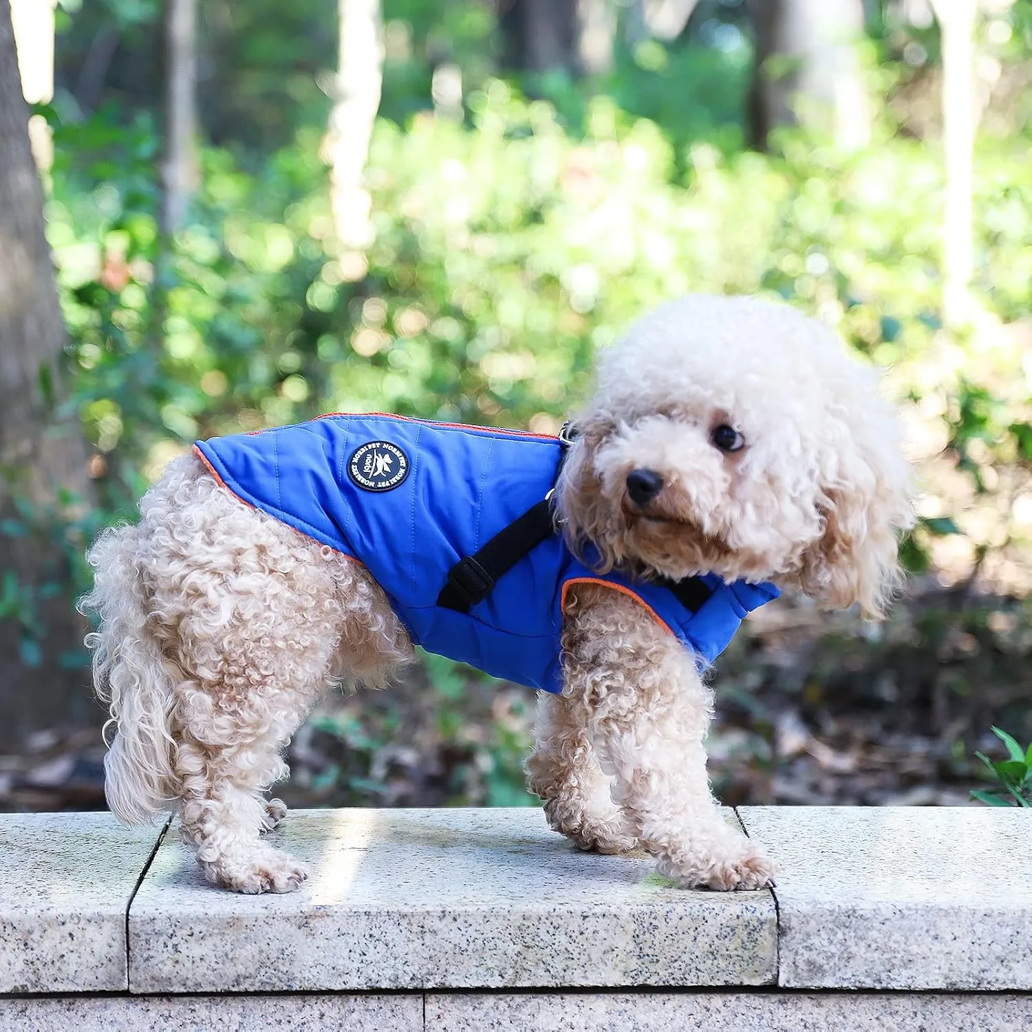 Norbi Dog Winter Jacket with Built-in Harness - Adjustable Warm Coats for Small to Large Dogs - Perfect for Cold Weather