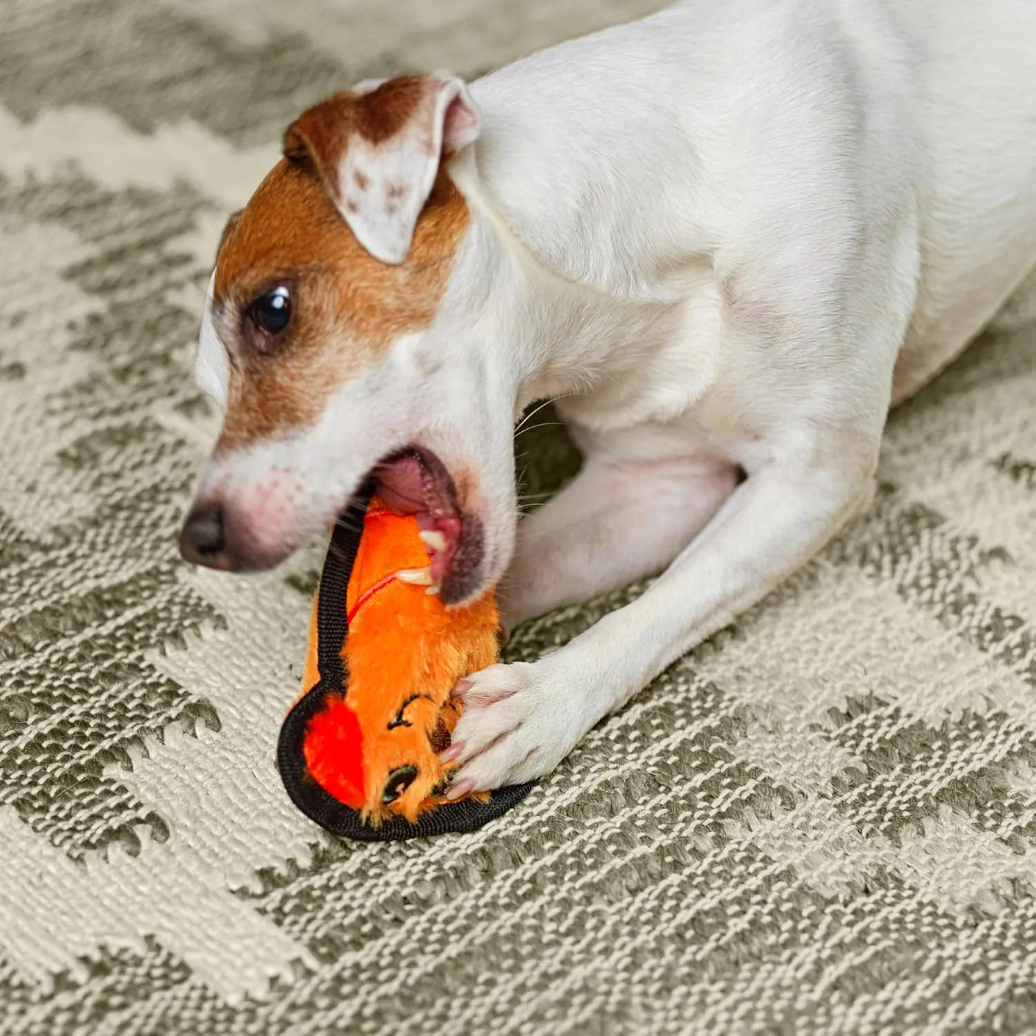 Outward Hound Durablez Minis Stuffing-Free Squeaky Interactive Dog Toy, Tough Plush, Dog, Orange, XS