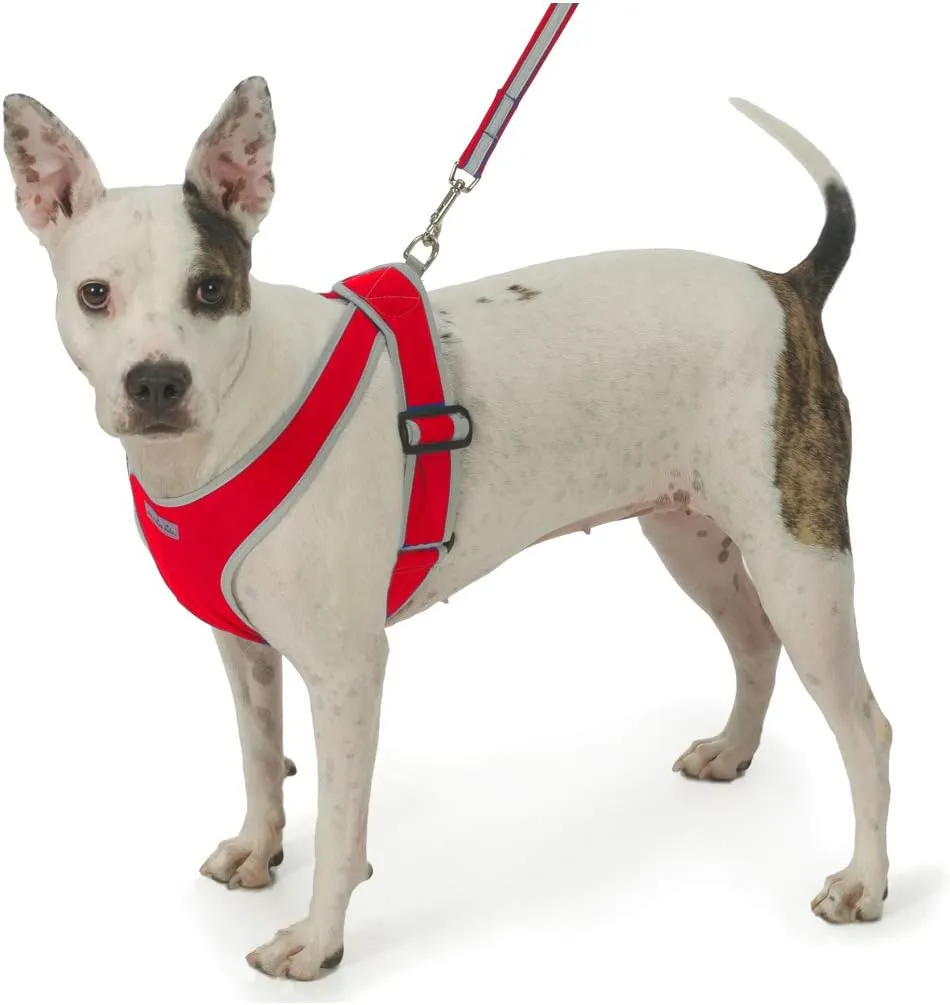 Precision Fit Nylon Step-in Adjustable Dog Harness in Teacup to 40 LBS Vest Easy On Adjustable XXXSmall Toy Puppies to Large Soft Walking Doggy Wrap Vest (4101) (Medium - Gingham Red)