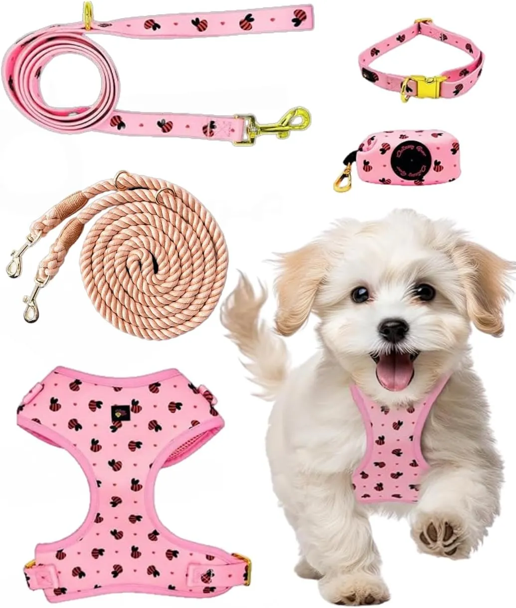 Premium No-Pull Dog Harness 5-Piece Set with Matching Hands Free Rope Leash, Collar, Leash & Poop Bag Dispenser (X Small, Pink)