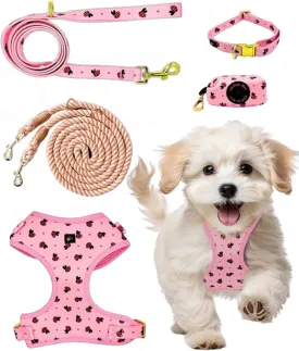 Premium No-Pull Dog Harness 5-Piece Set with Matching Hands Free Rope Leash, Collar, Leash & Poop Bag Dispenser (X Small, Pink)