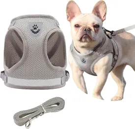 Step in Dog Harness and Leash Set,Reflective Adjustable Soft Mesh Breathable Pet Vest Dog Harnesses Set, No Chock No Pull Padded Puppy Harnesses for Small Dogs and Cats (Gray, X-Large)