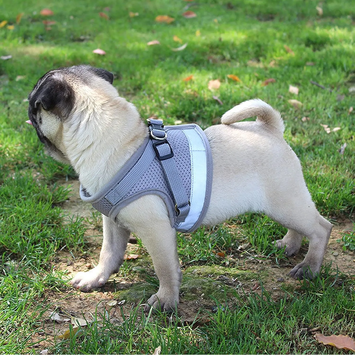 Step in Dog Harness and Leash Set,Reflective Adjustable Soft Mesh Breathable Pet Vest Dog Harnesses Set, No Chock No Pull Padded Puppy Harnesses for Small Dogs and Cats (Gray, X-Large)