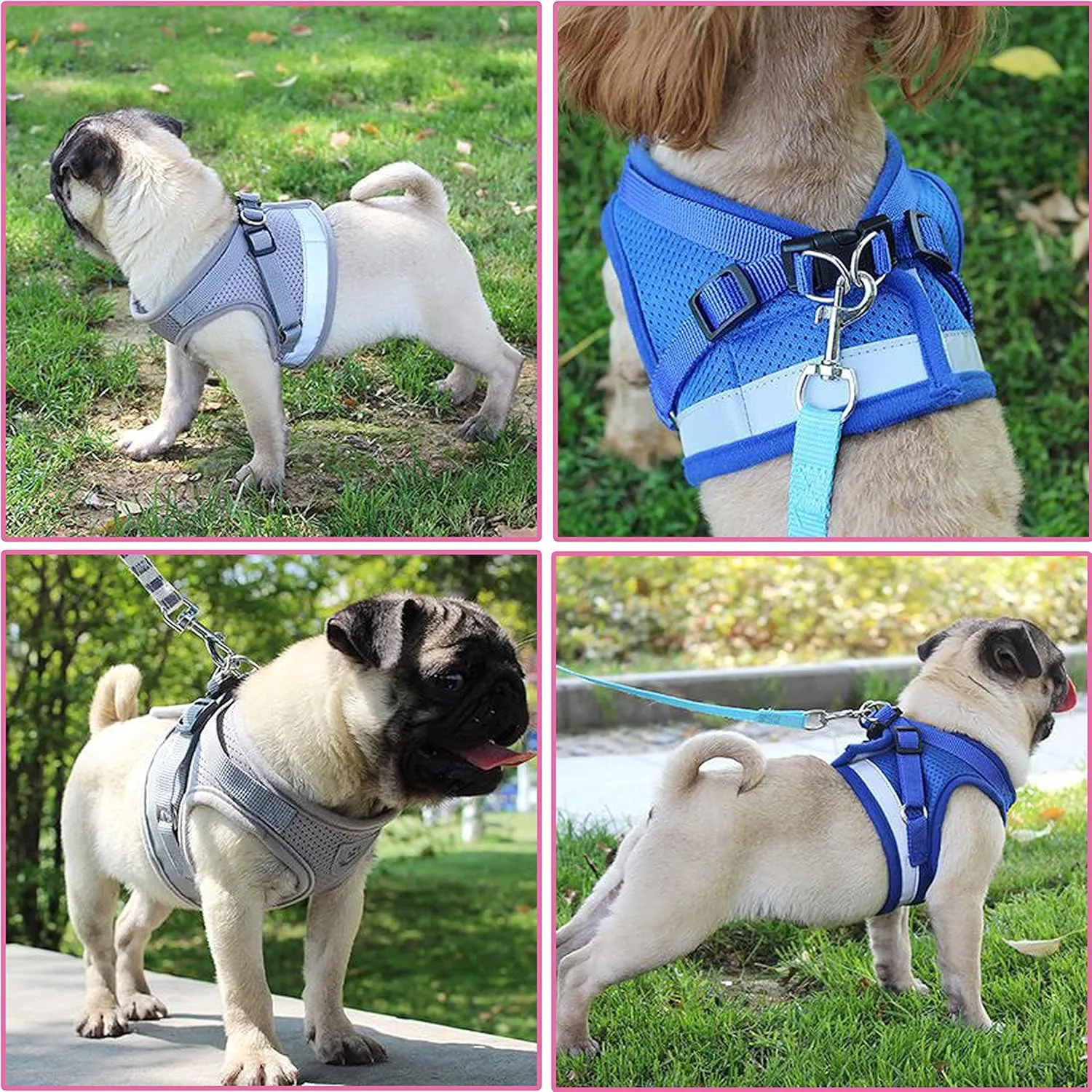 Step in Dog Harness and Leash Set,Reflective Adjustable Soft Mesh Breathable Pet Vest Dog Harnesses Set, No Chock No Pull Padded Puppy Harnesses for Small Dogs and Cats (Gray, X-Large)