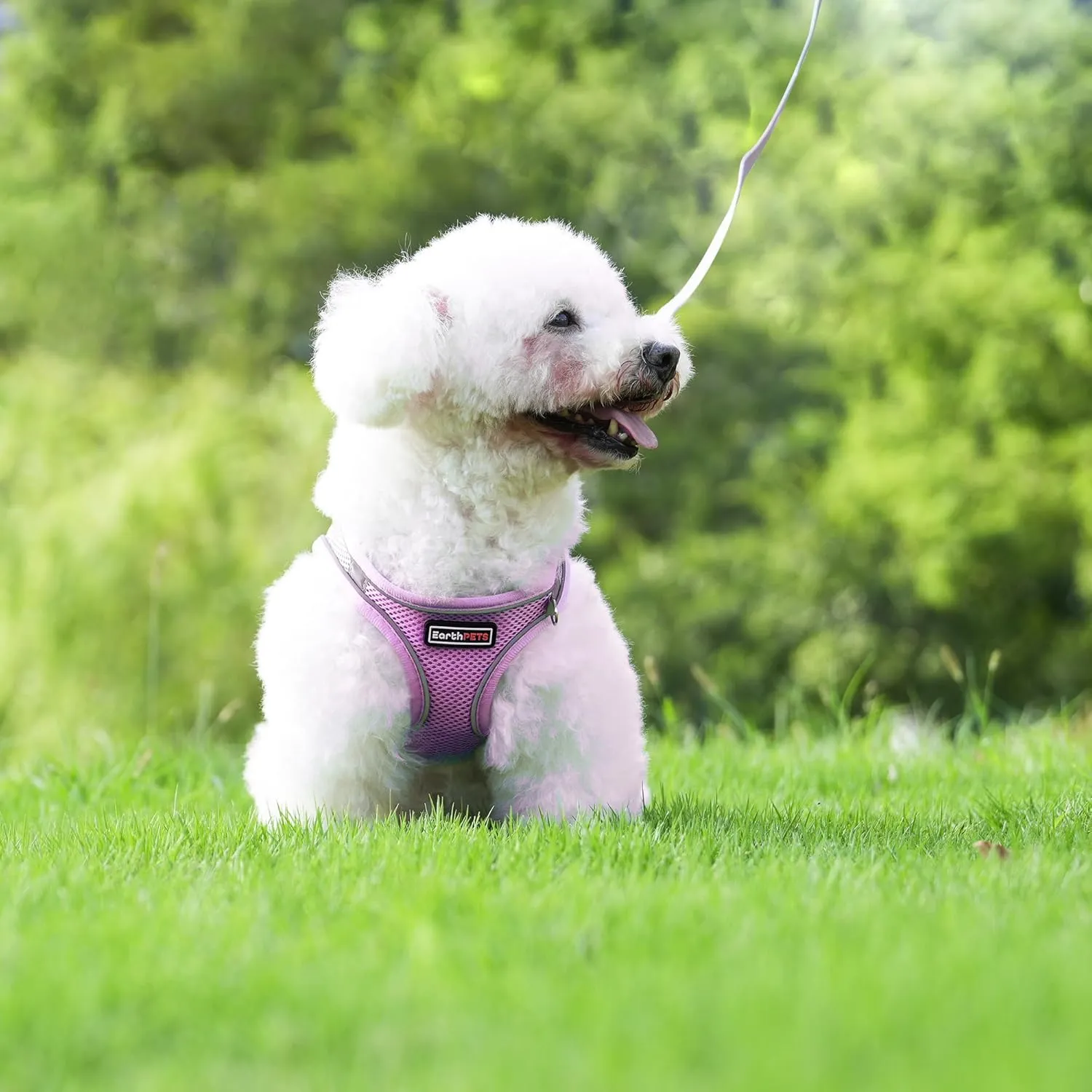 Step-in Pet Harness with a Free 59 inch Leash Included - Breathable Air Mesh for Dogs & Cats, with Reflective Straps, Safe Vest Built with Buckle & Double Metal Rings, Gray & Pink, L