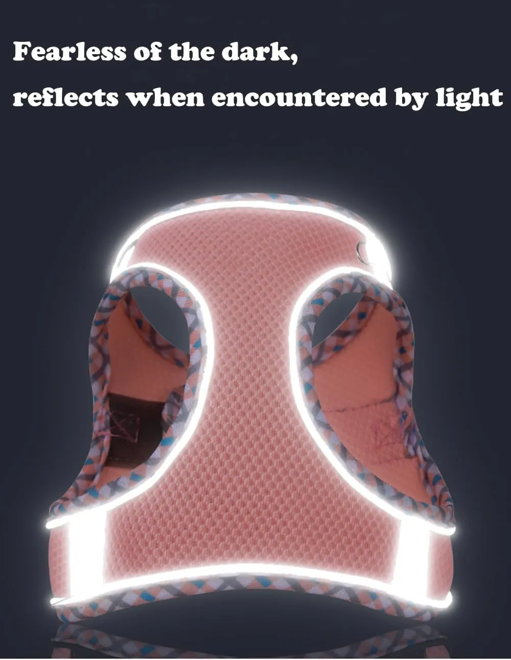 ,,,,(,XXS)